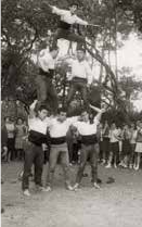 Falconers de la J.O.C. a l’aplec de les Graus de Vilobí (anys 60), amb el Melilla d’enxaneta