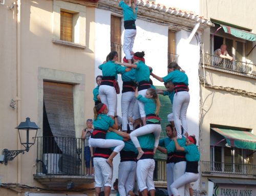 7 de 8 amb l’agulla